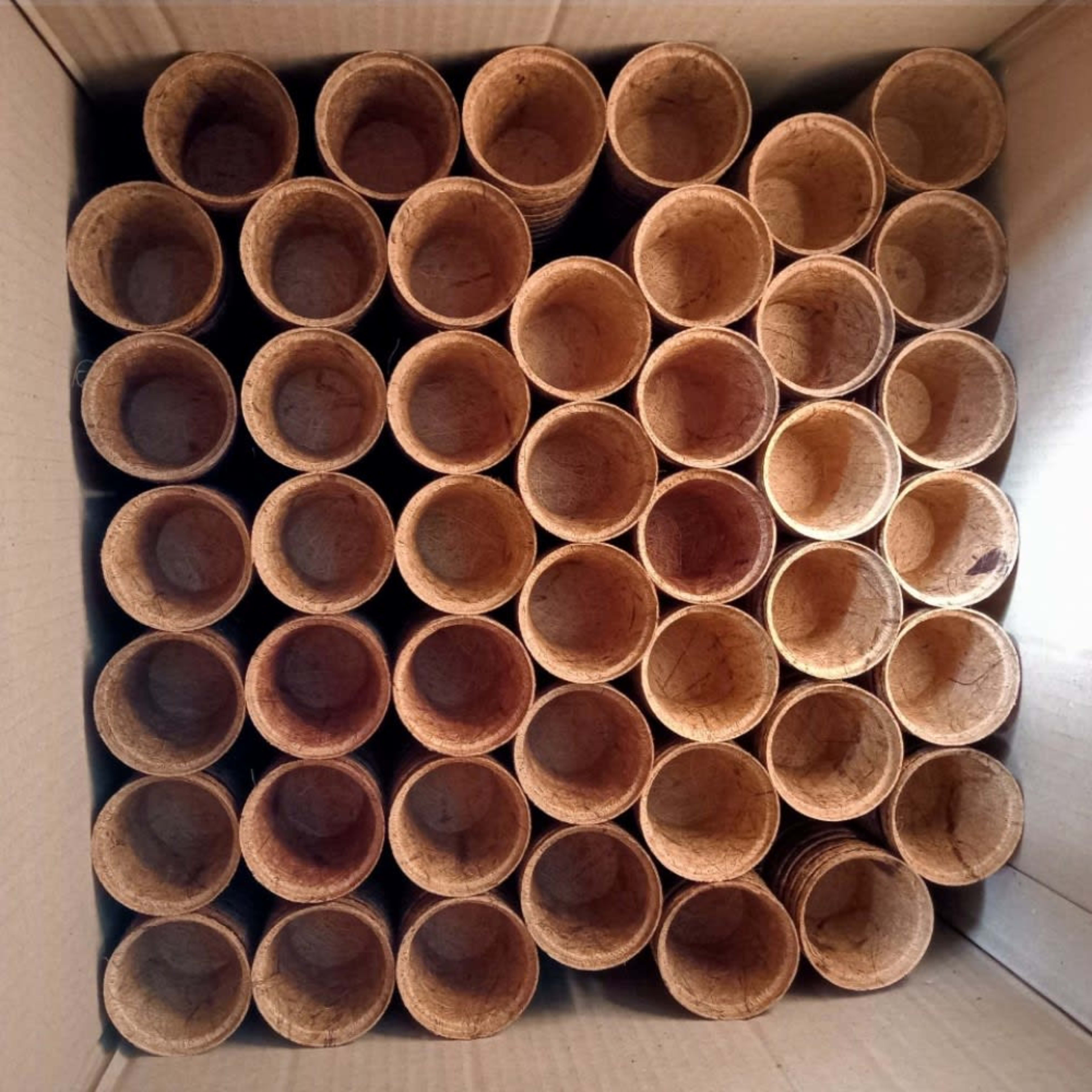 Coir Pots