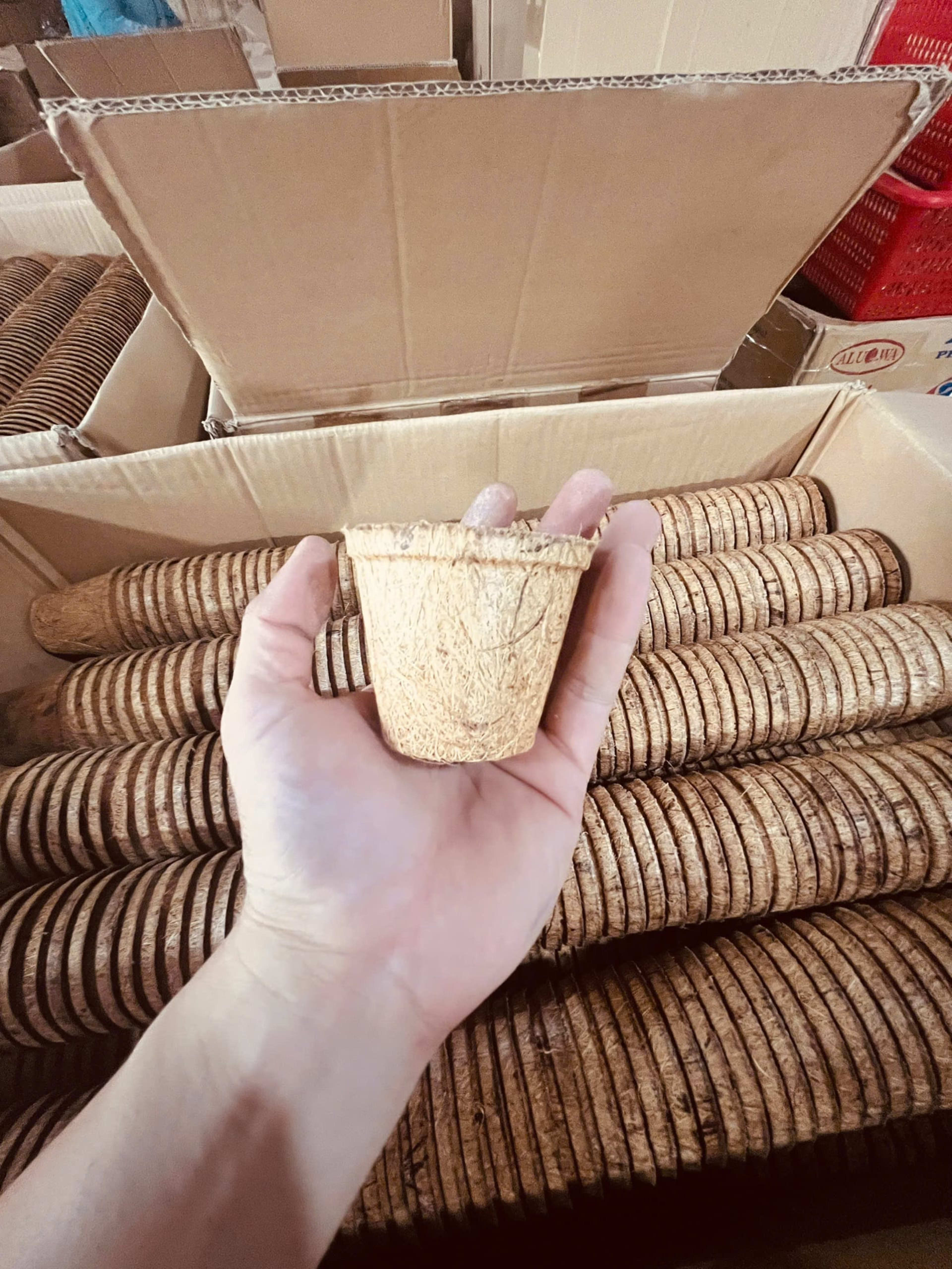 Coir Pots