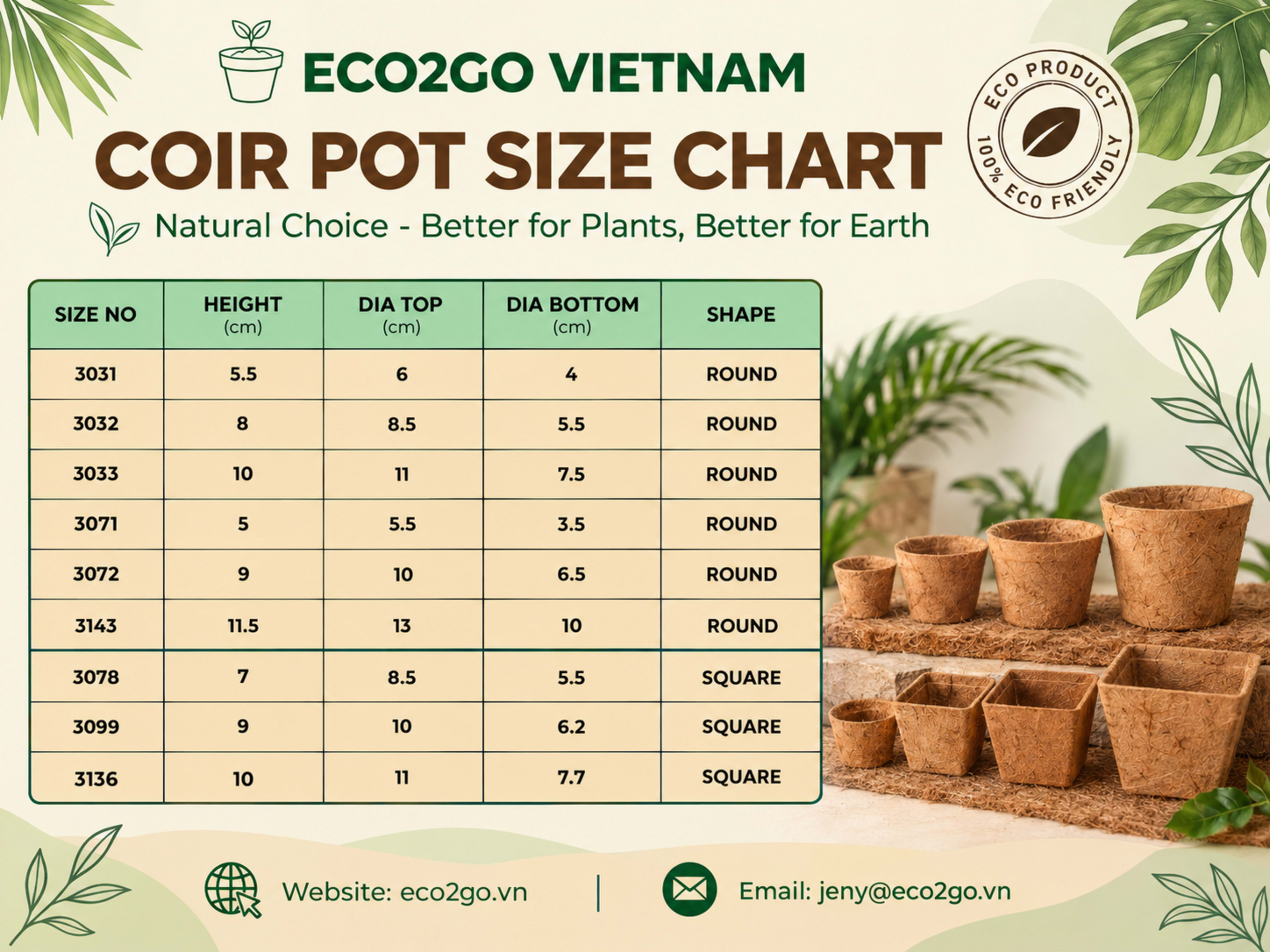 coir pot 1