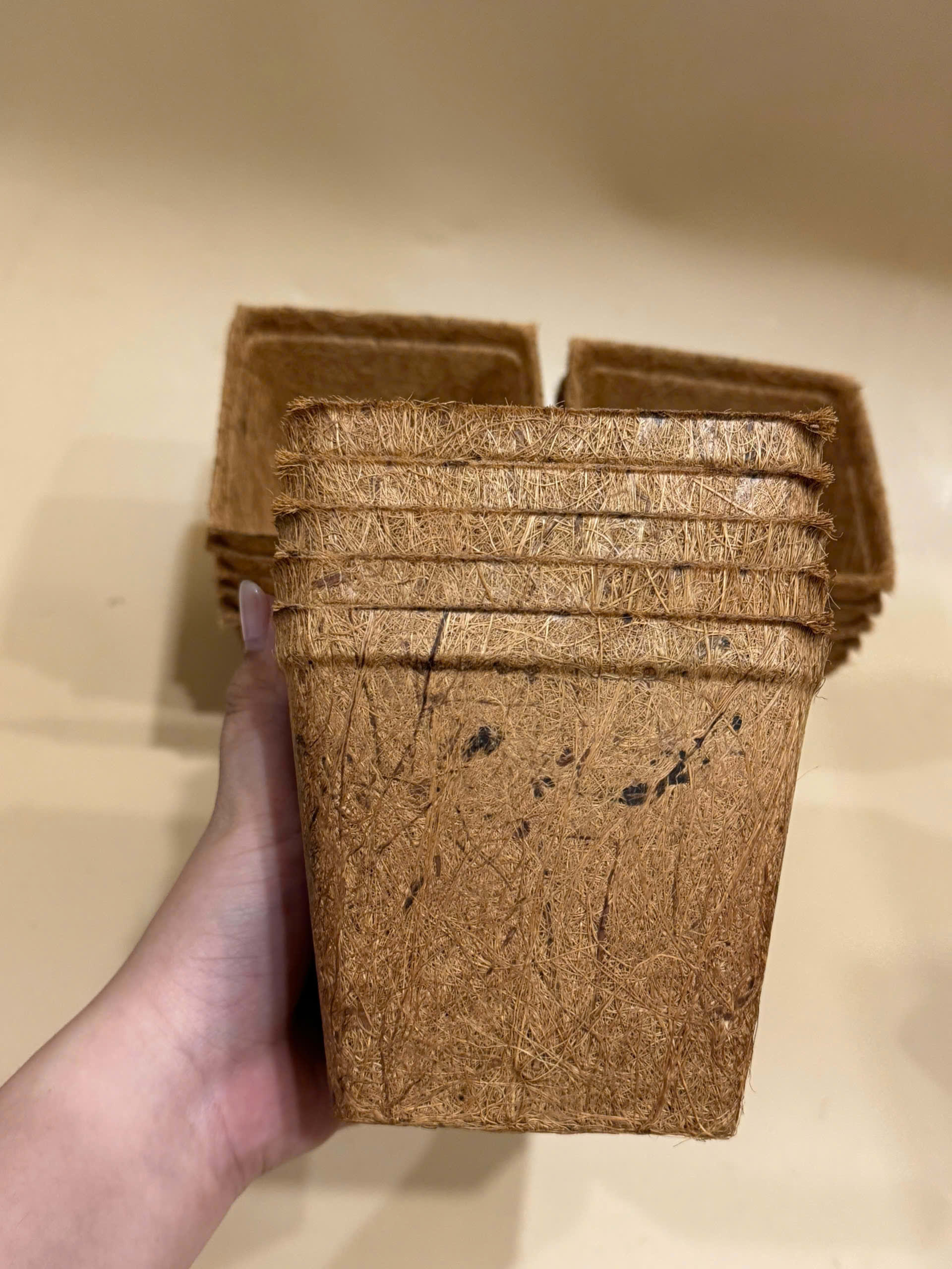 Coir Pots
