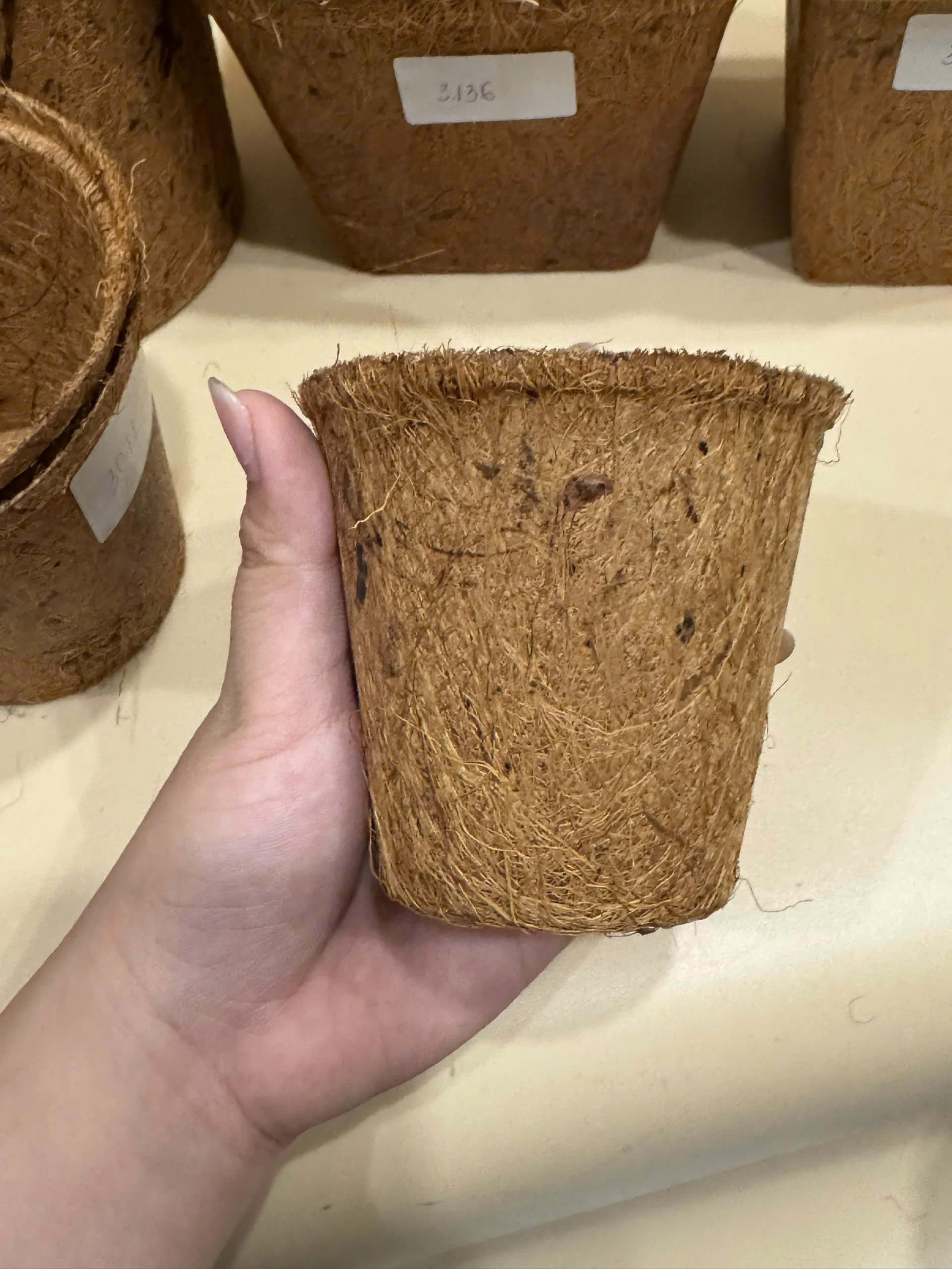 Coir Pots