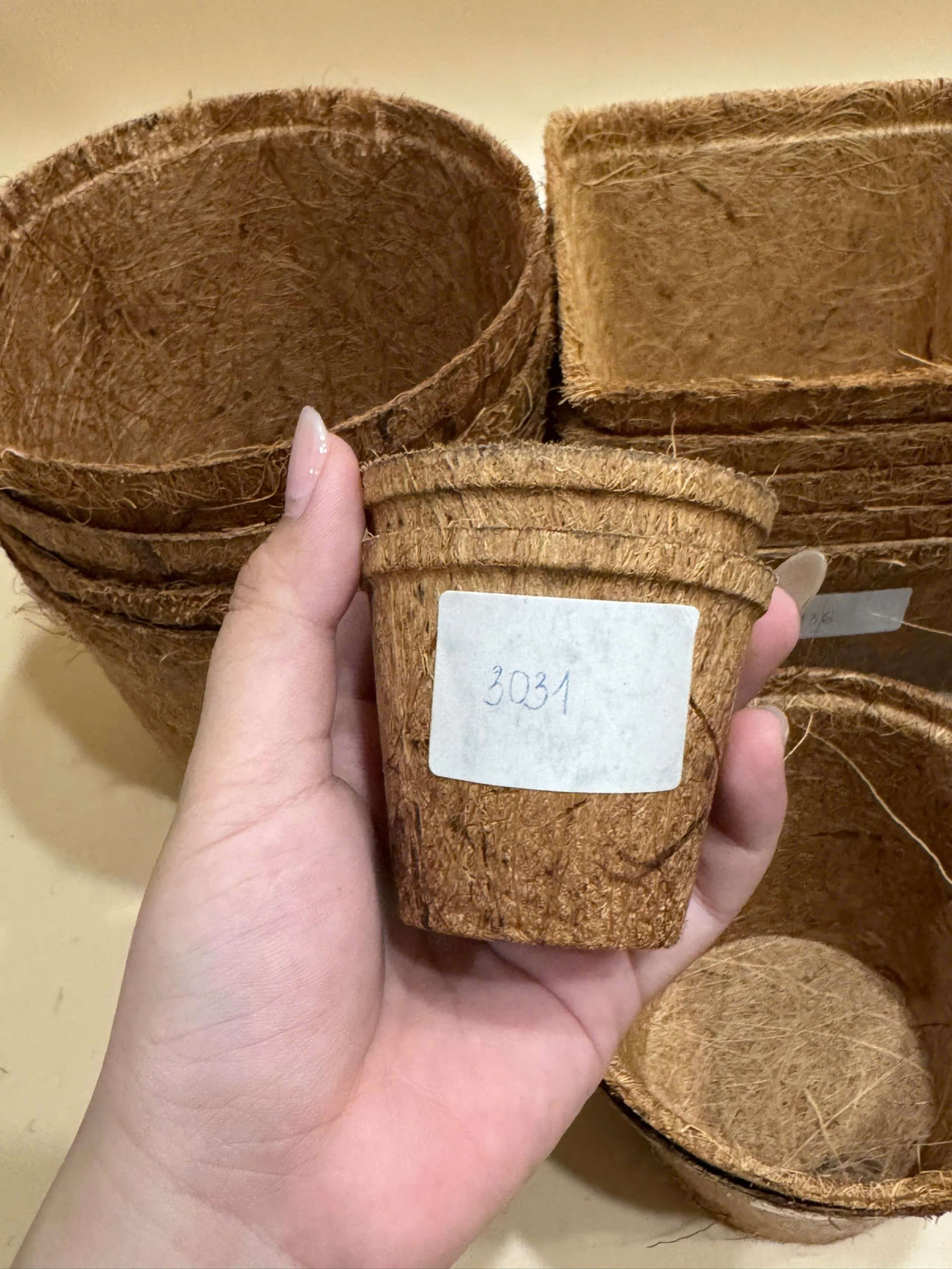 Coir Pots