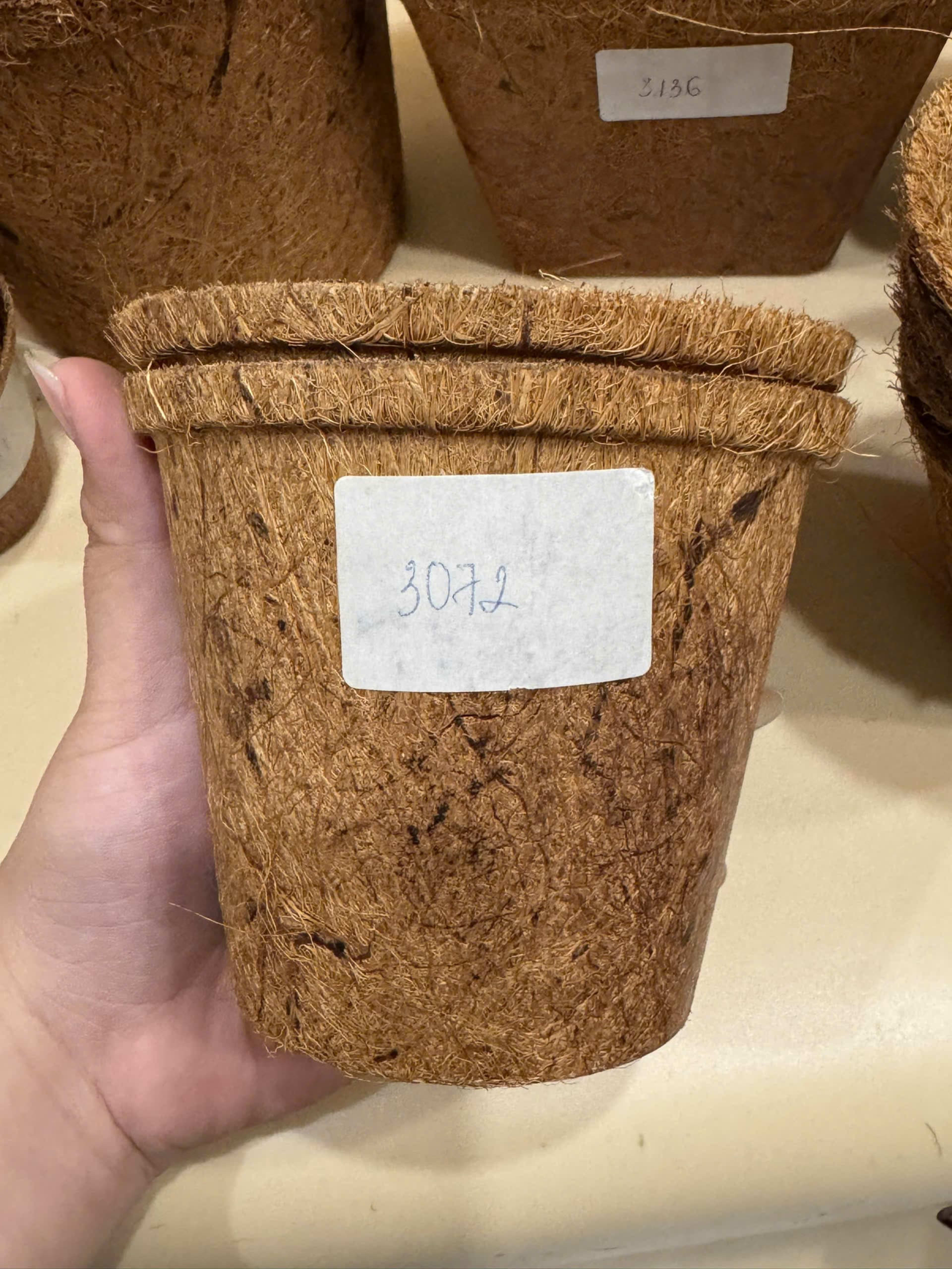 Coir Pots