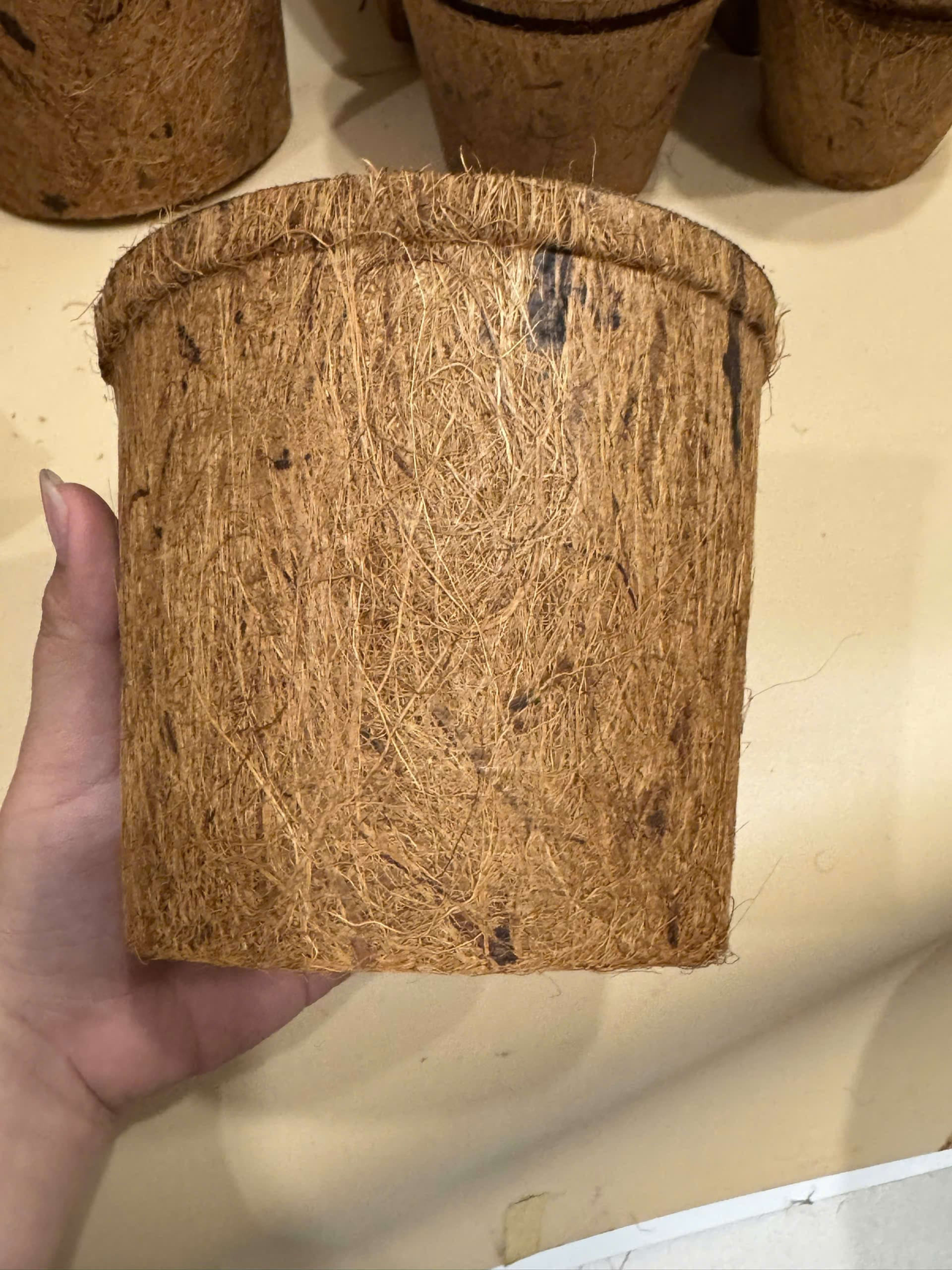 Coir Pots
