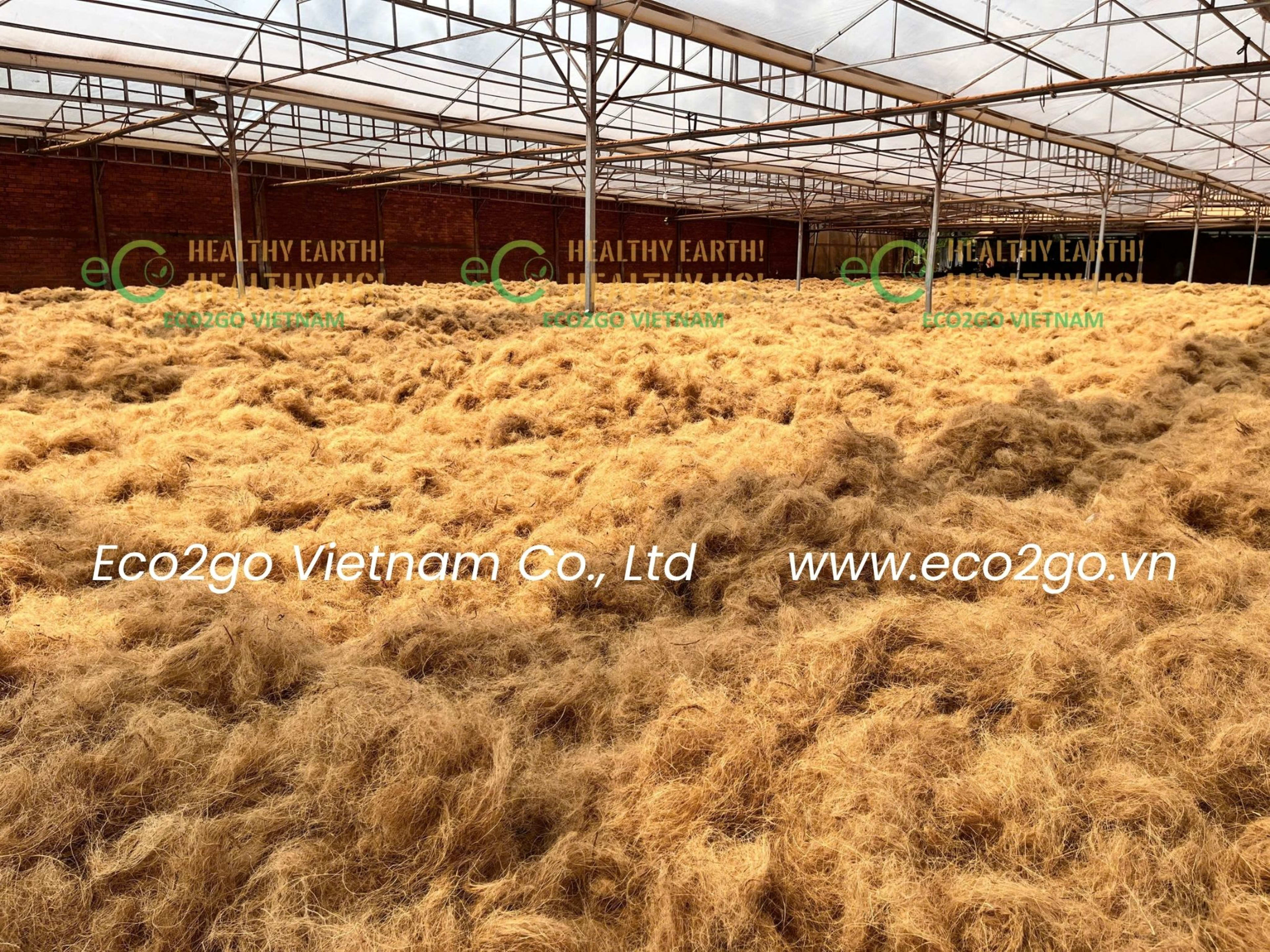 Coir Fiber