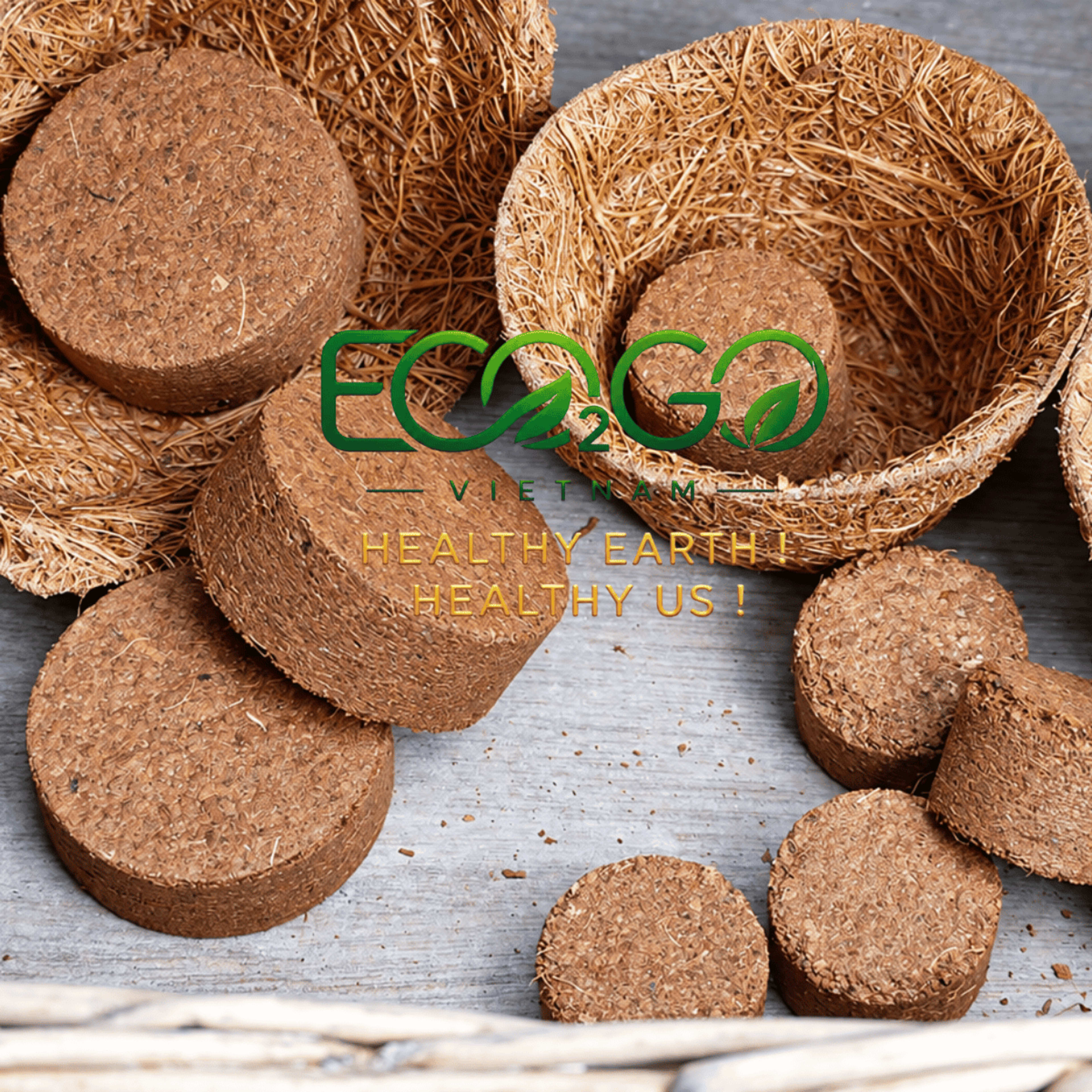 coco peat dics 2
