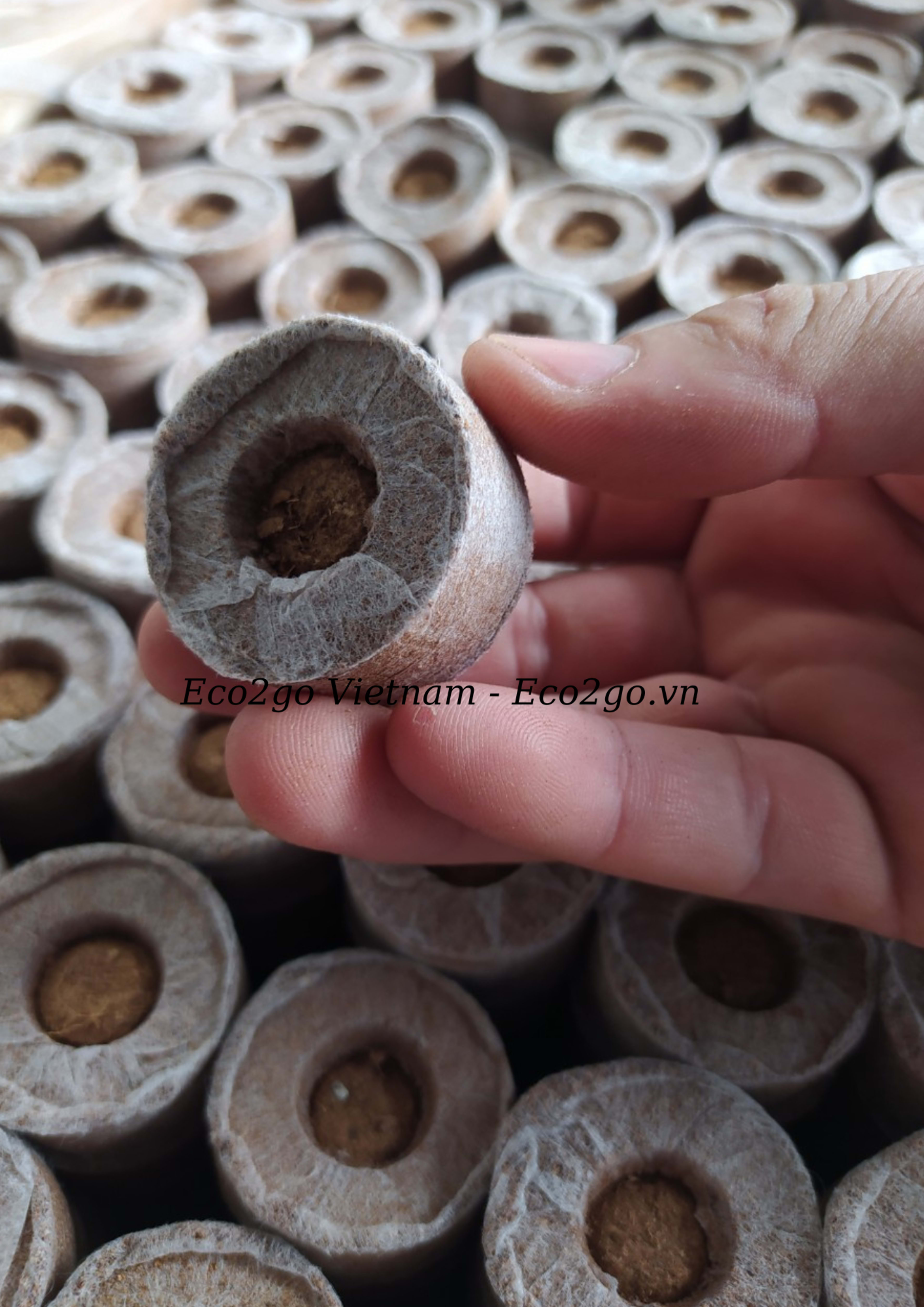 Coir Discs 35 mm