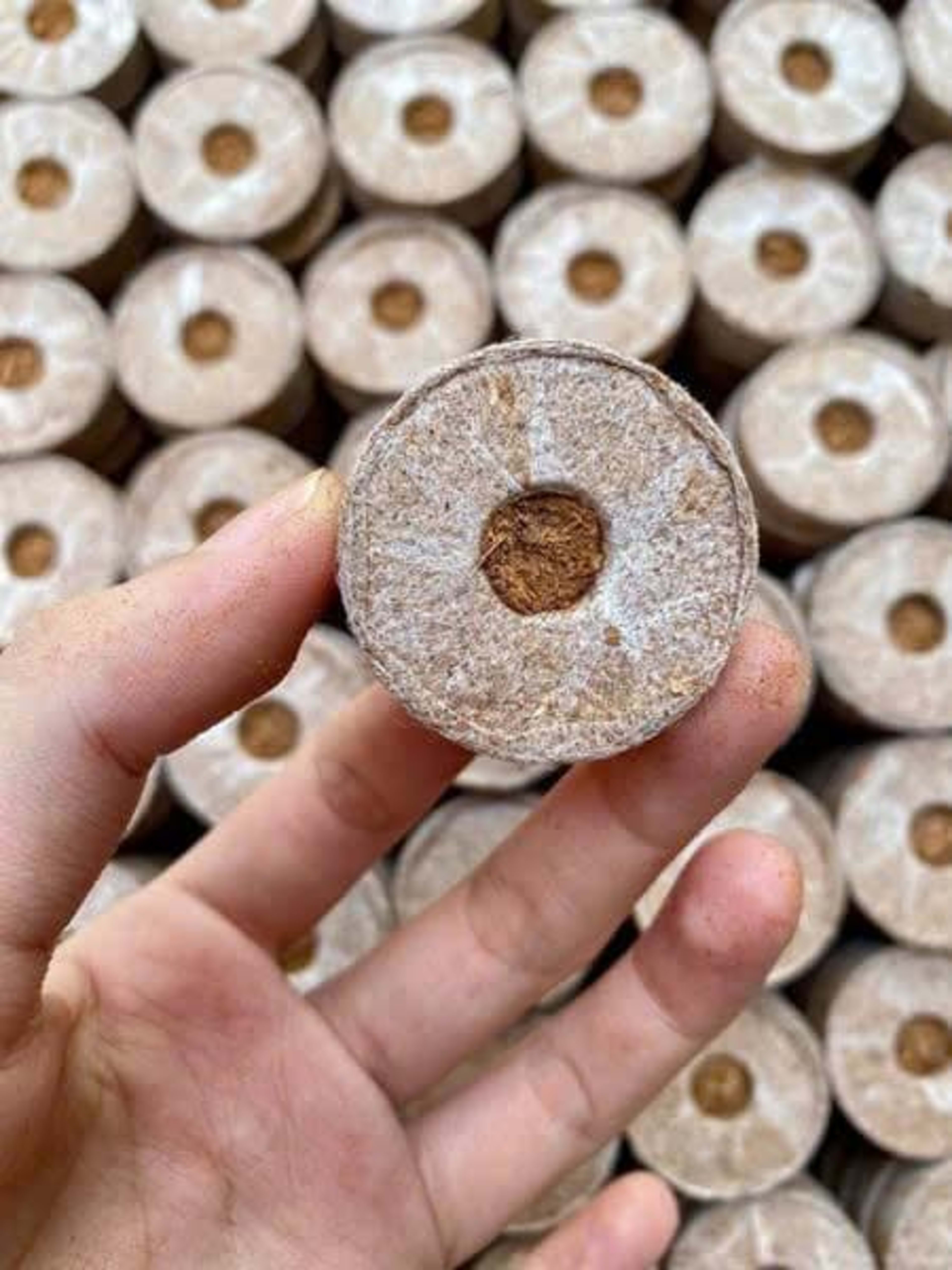 Coir Discs 42 mm