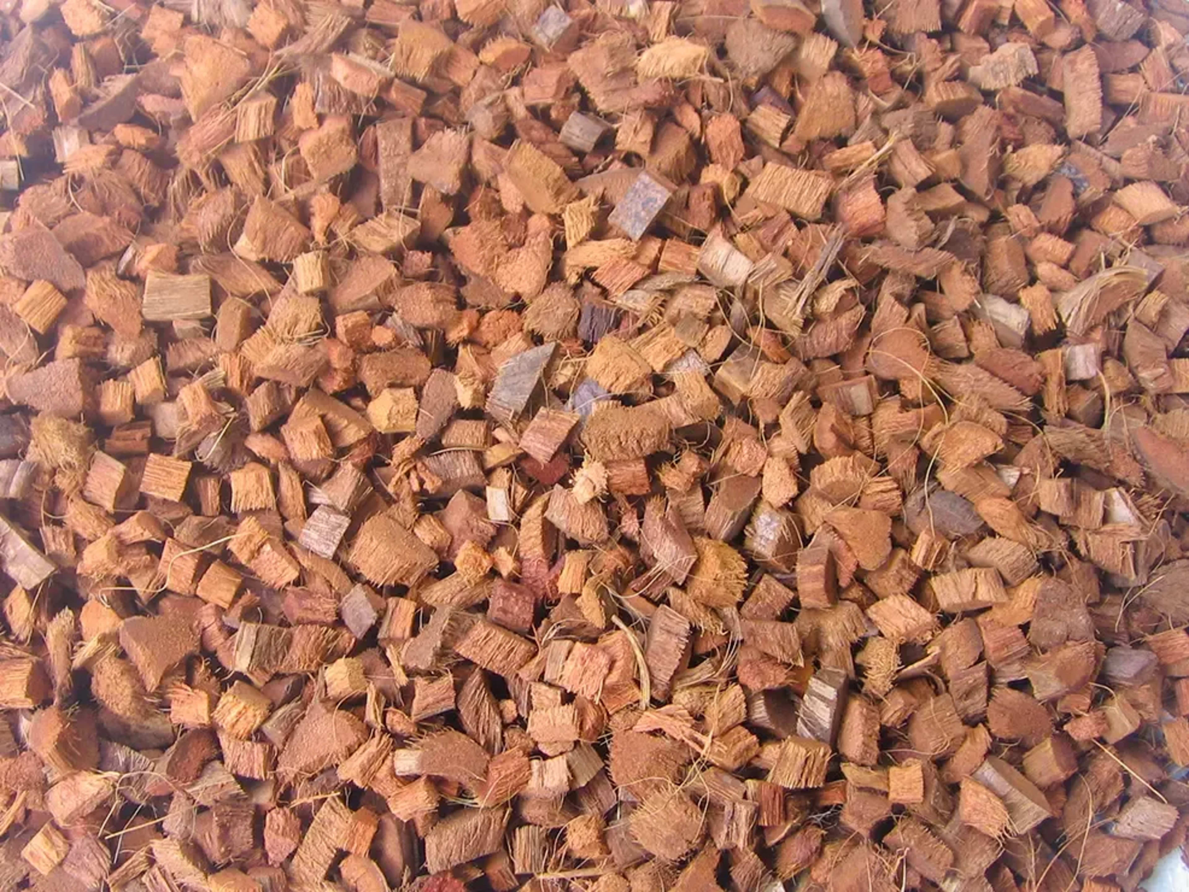 cocohuskchip (1)