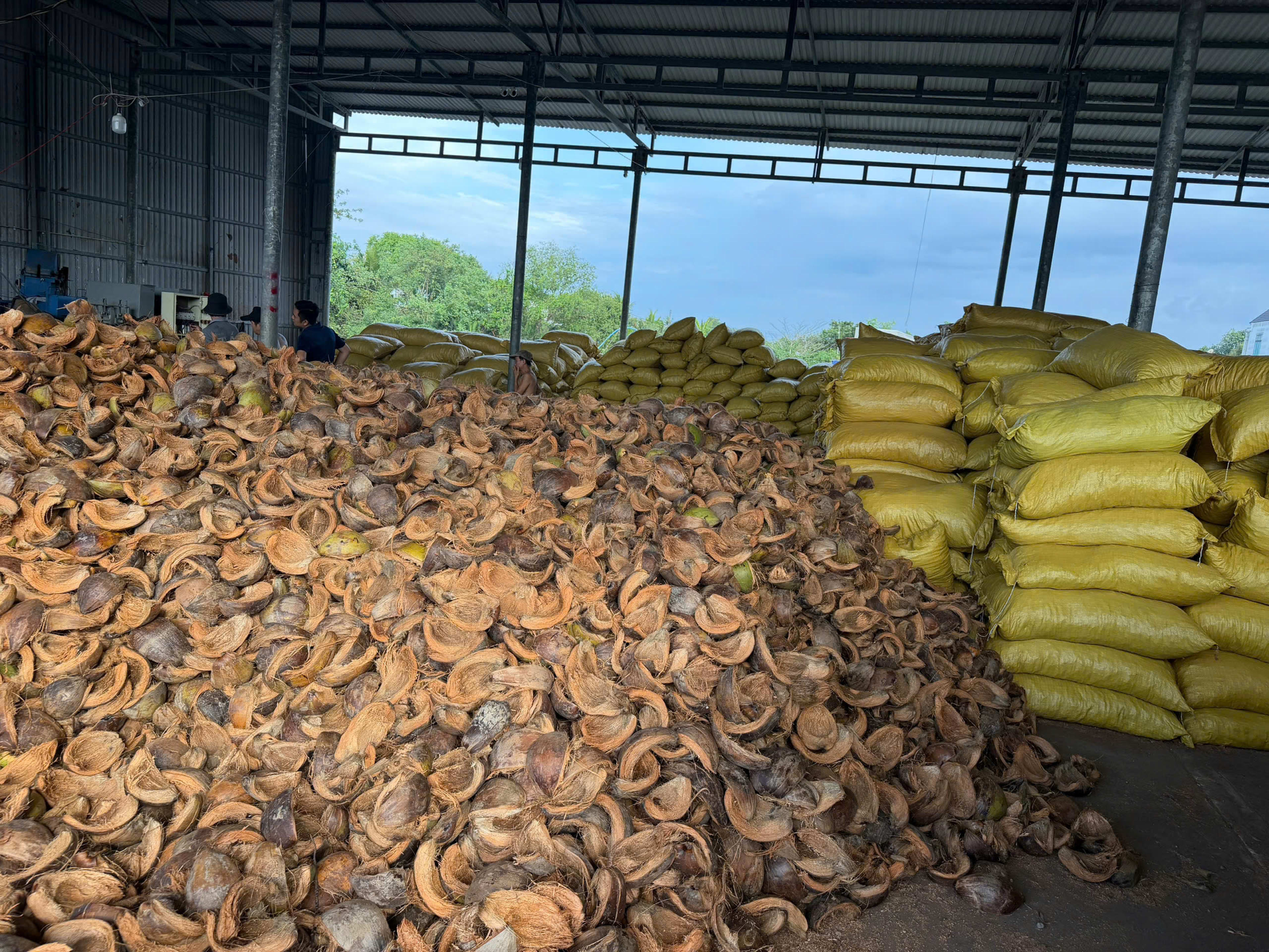 coco husk chip 10