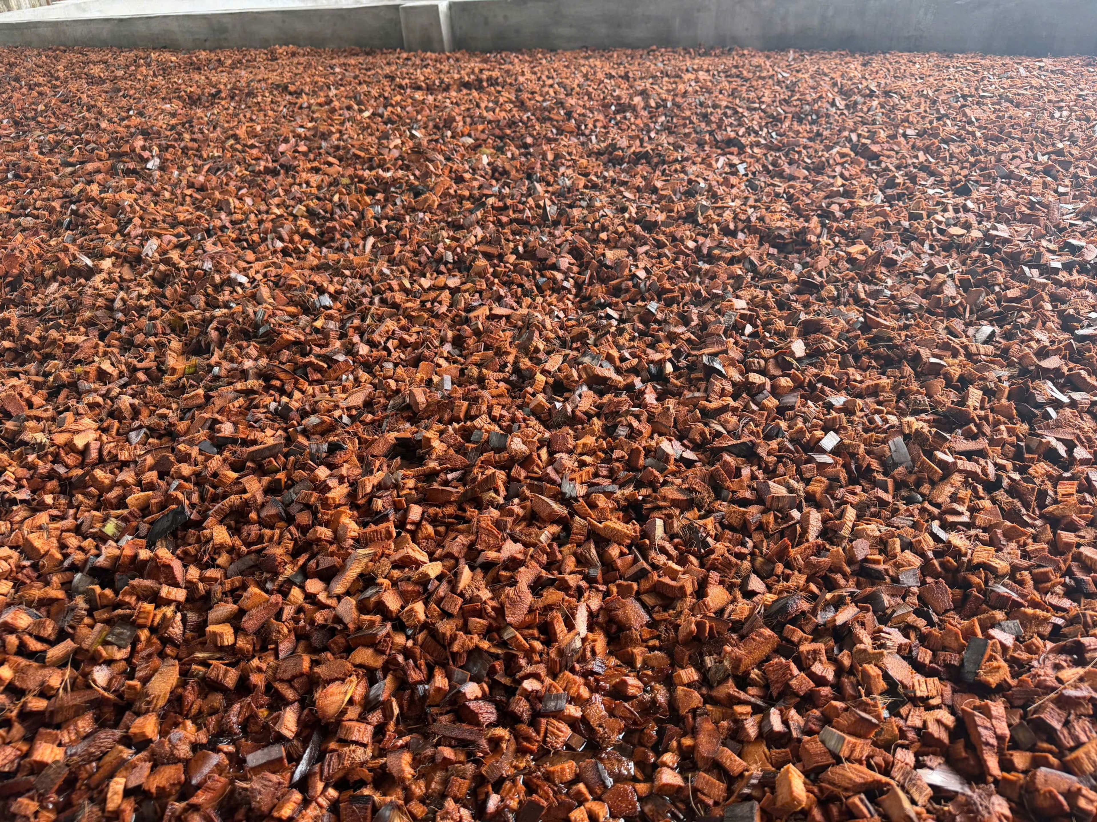 Coco Chips 1