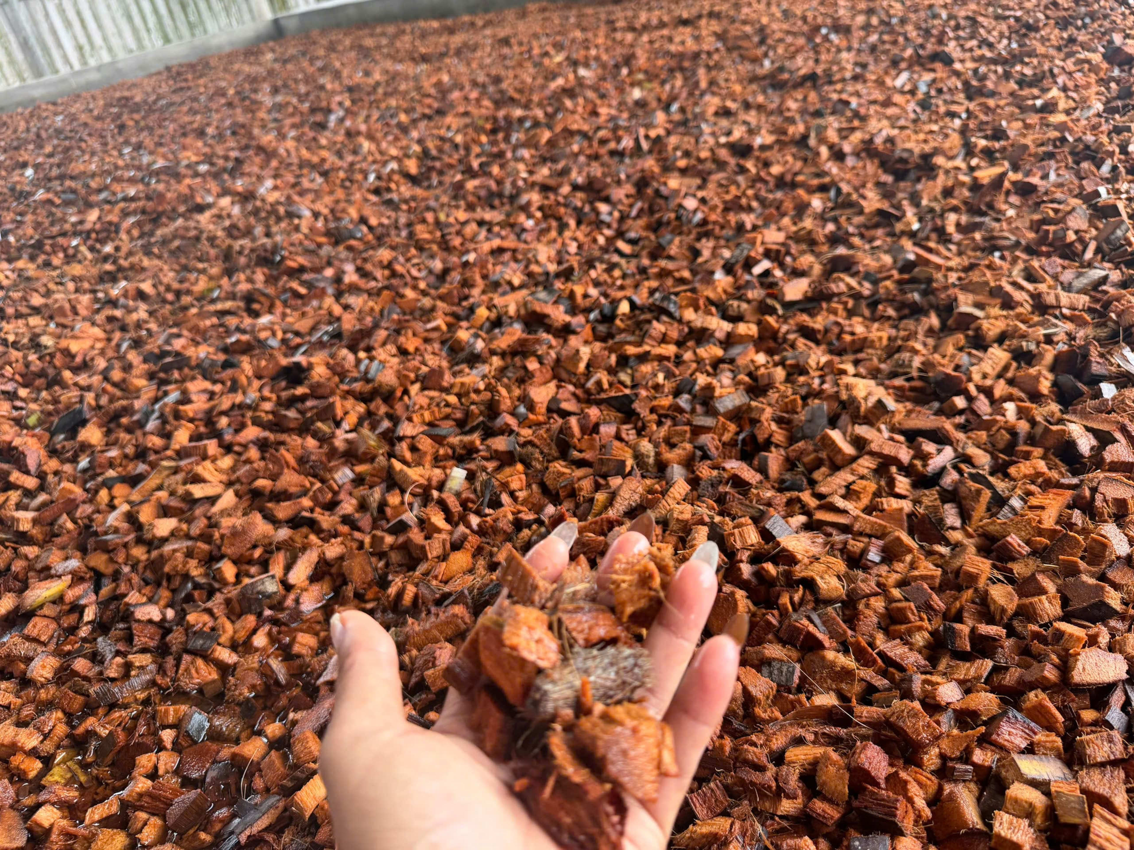 coco husk chip 5