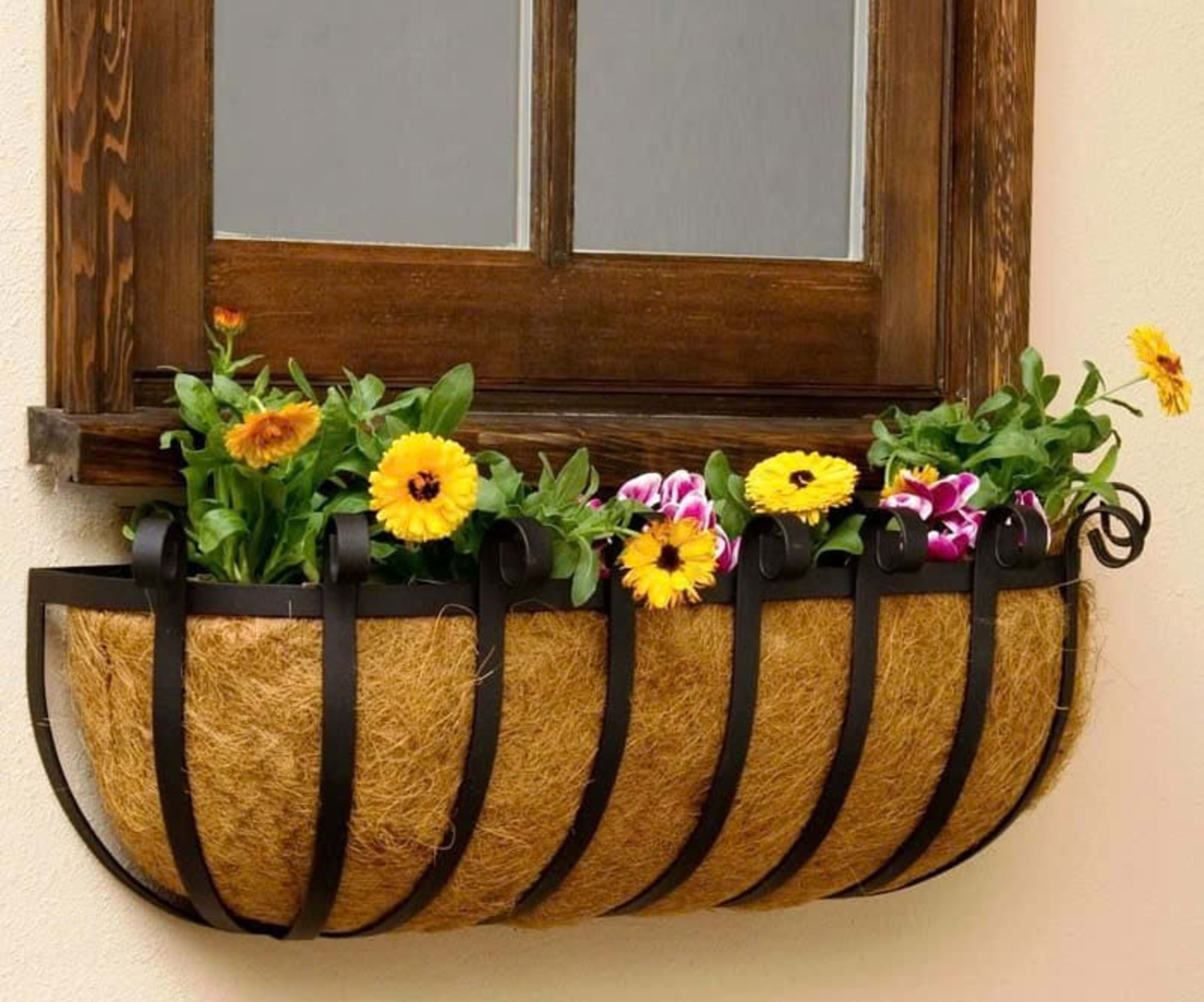 Hanging Baskets 2