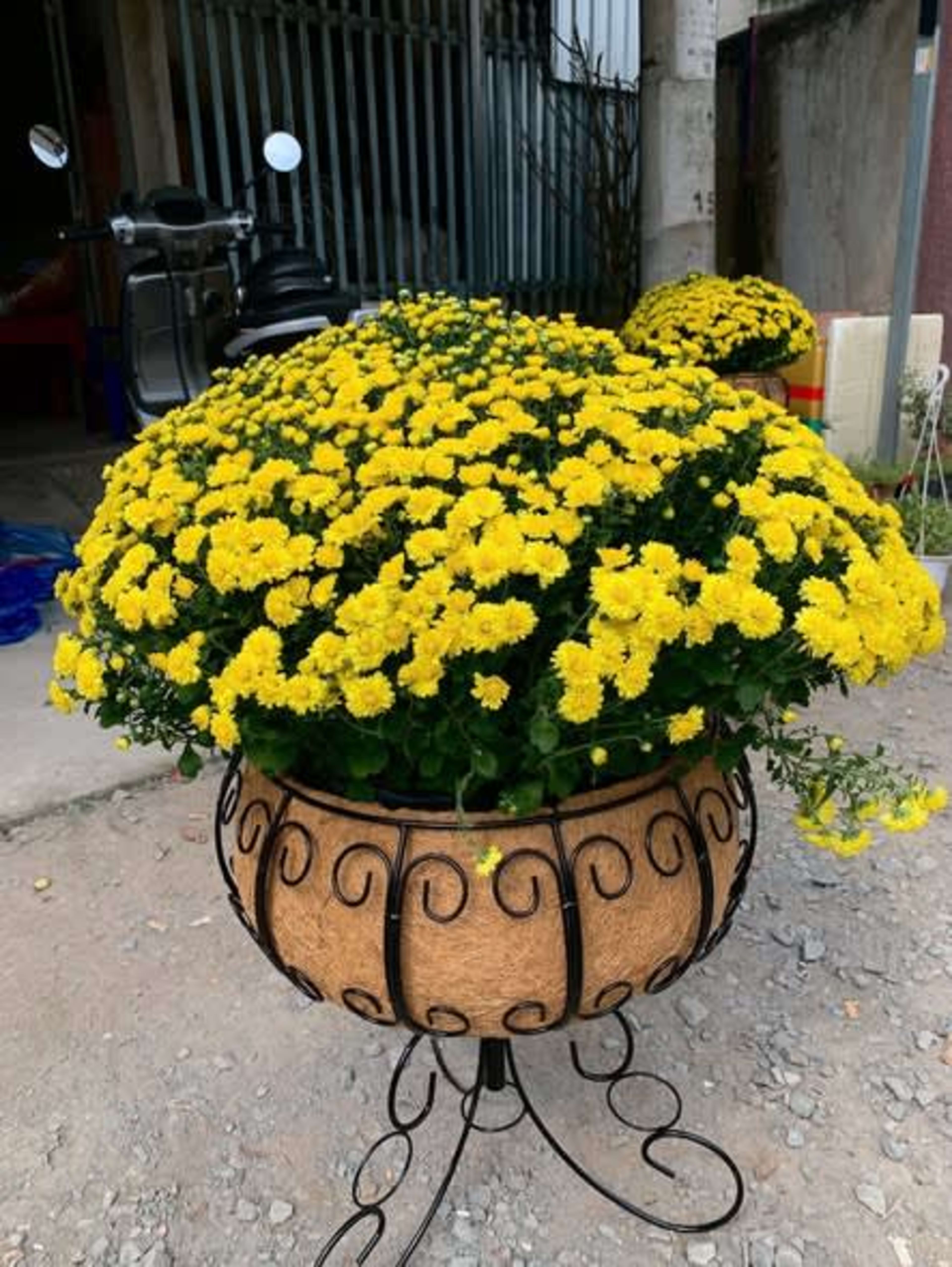 coir hanging basket 3