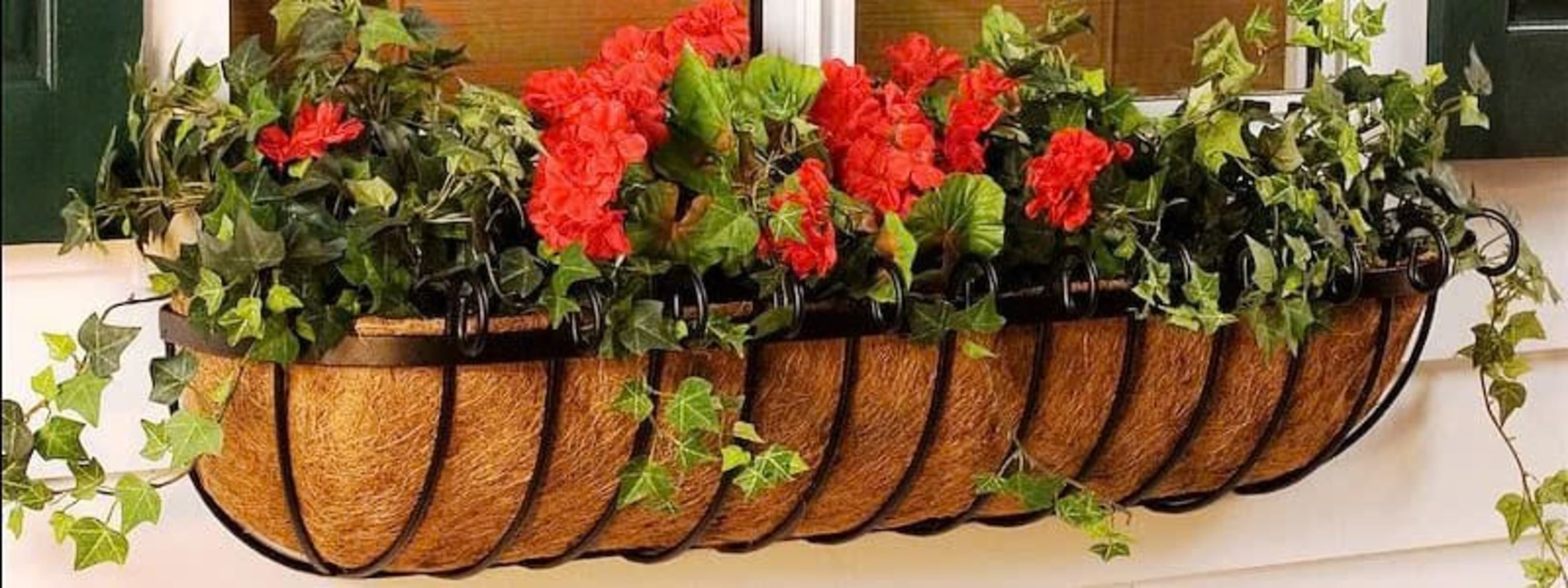 coir hanging basket 27