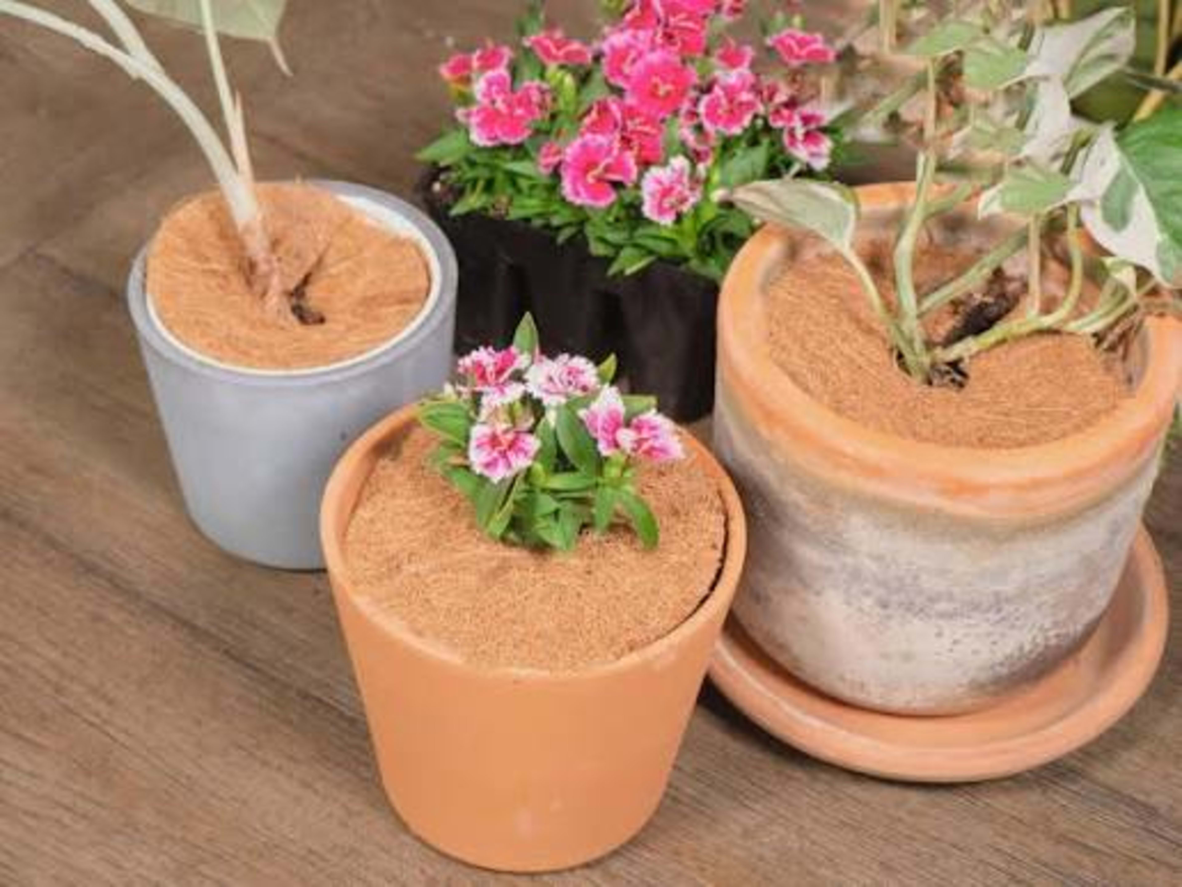 coir mulch ring 14