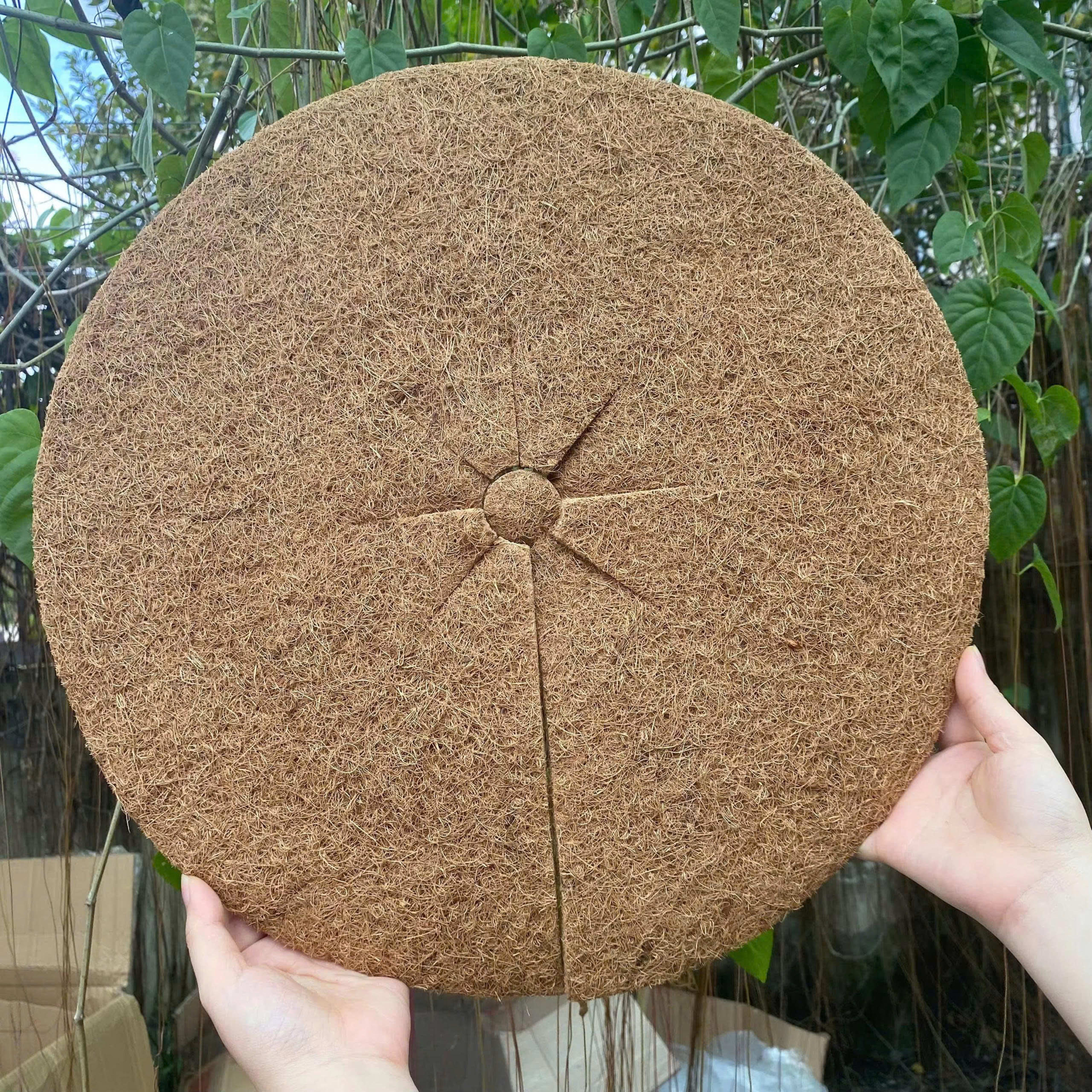 coir mulch ring 1