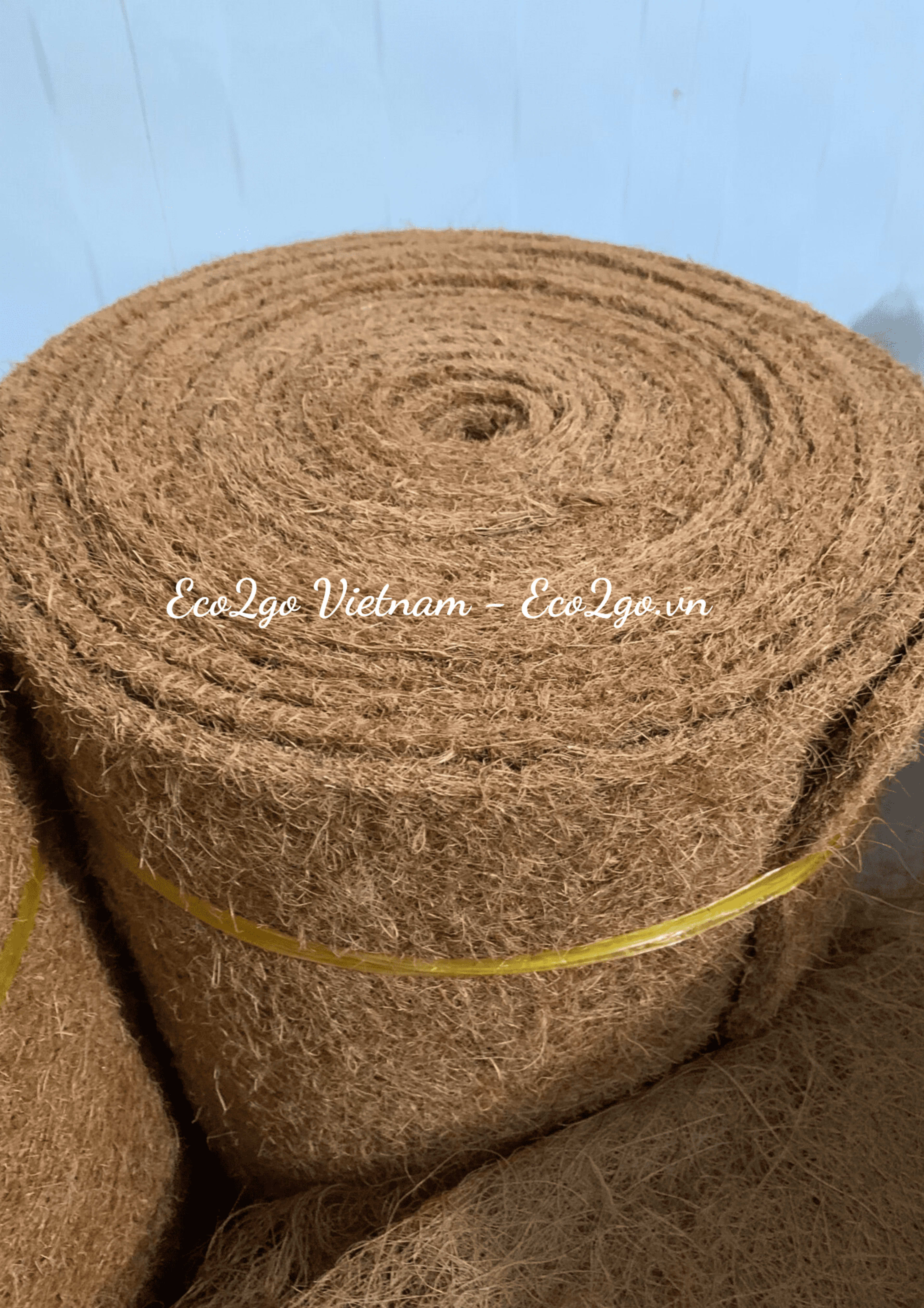 coir mat 29