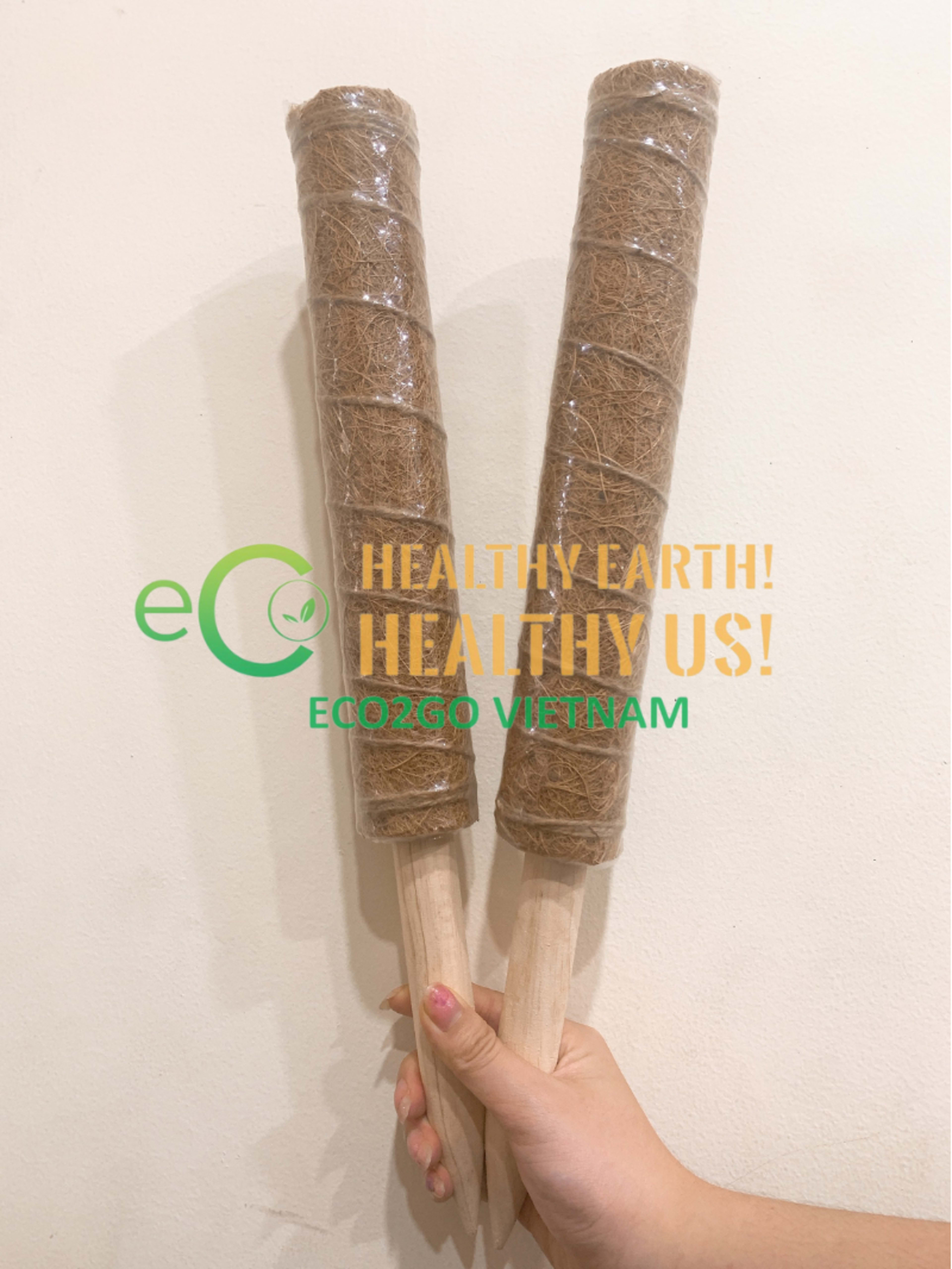 Moss Poles 40 cm