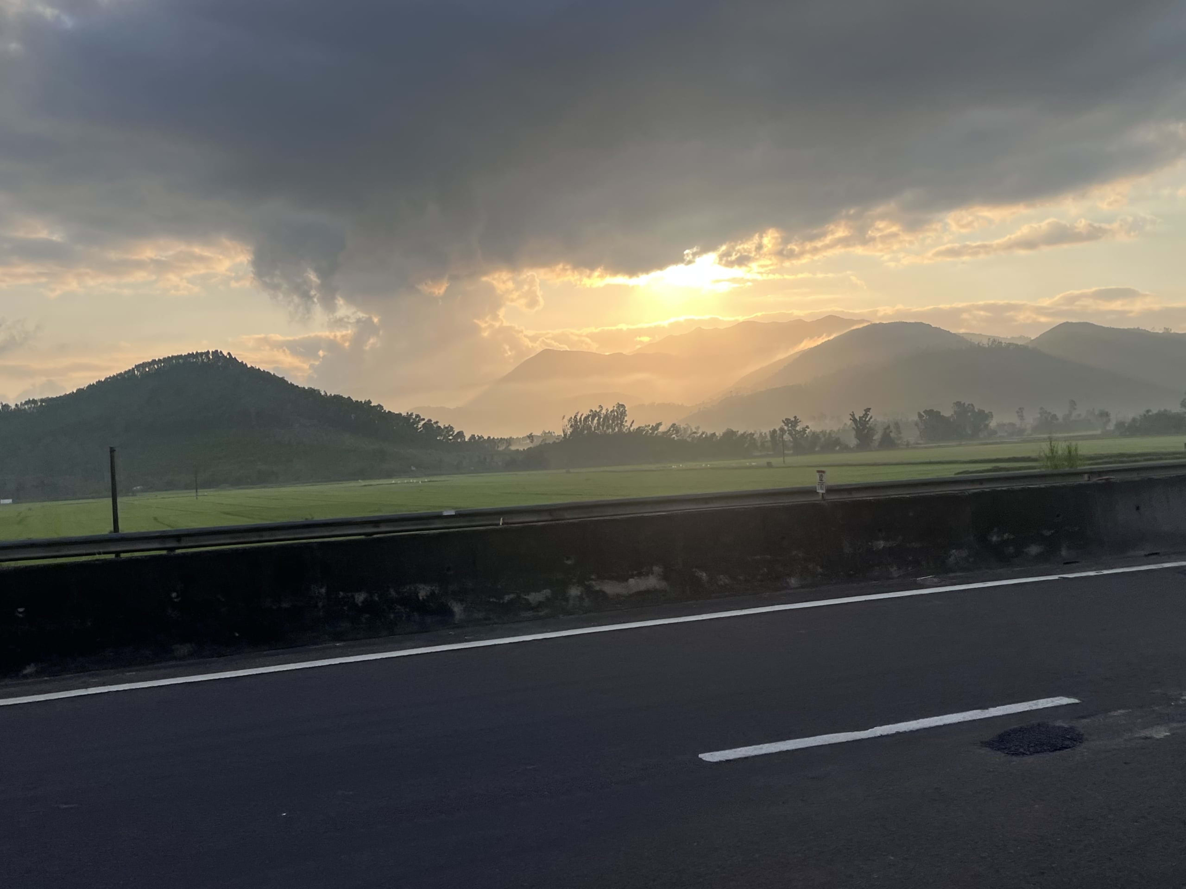 Coconut palms and green fields in Vietnam