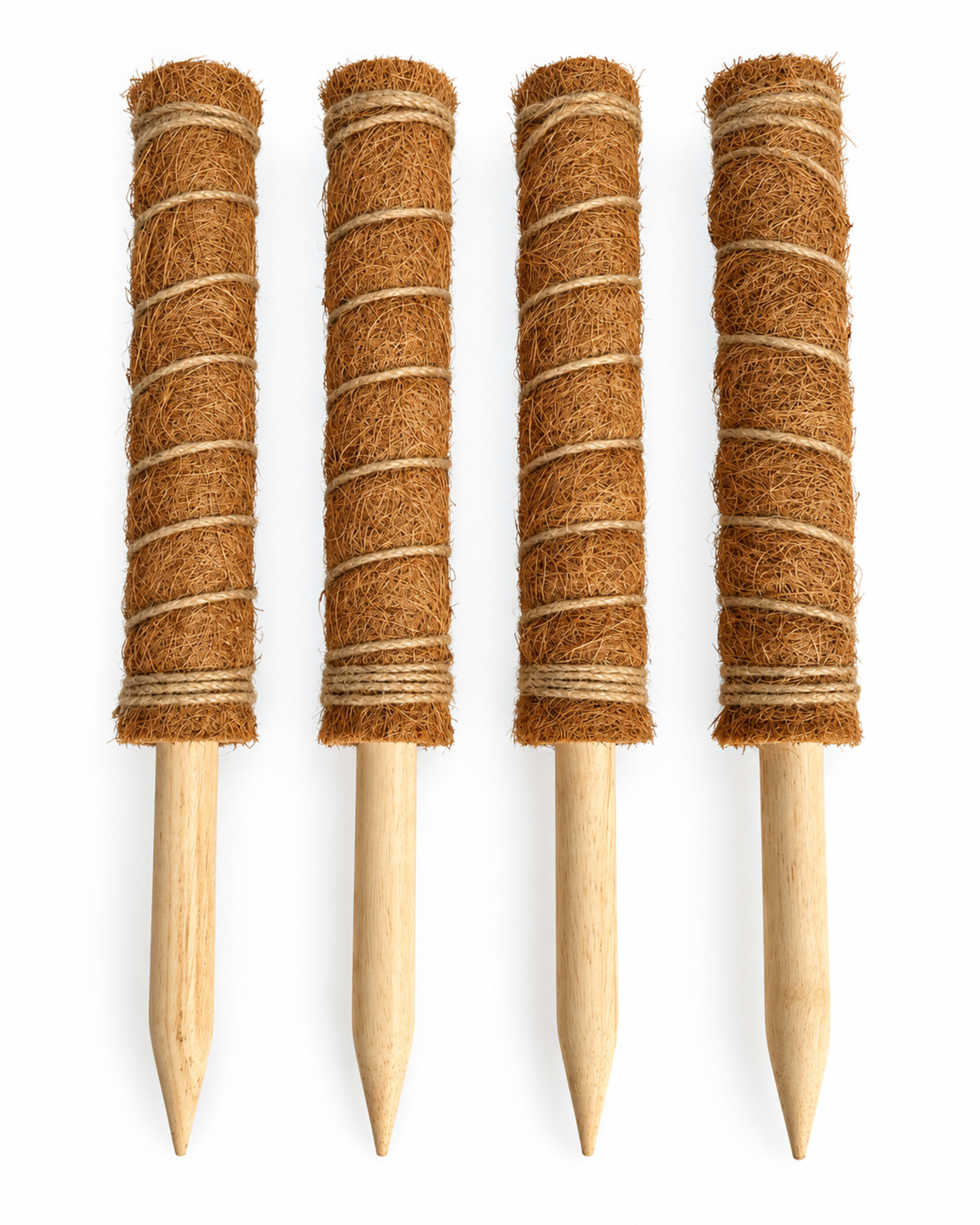 coir moss pole 2