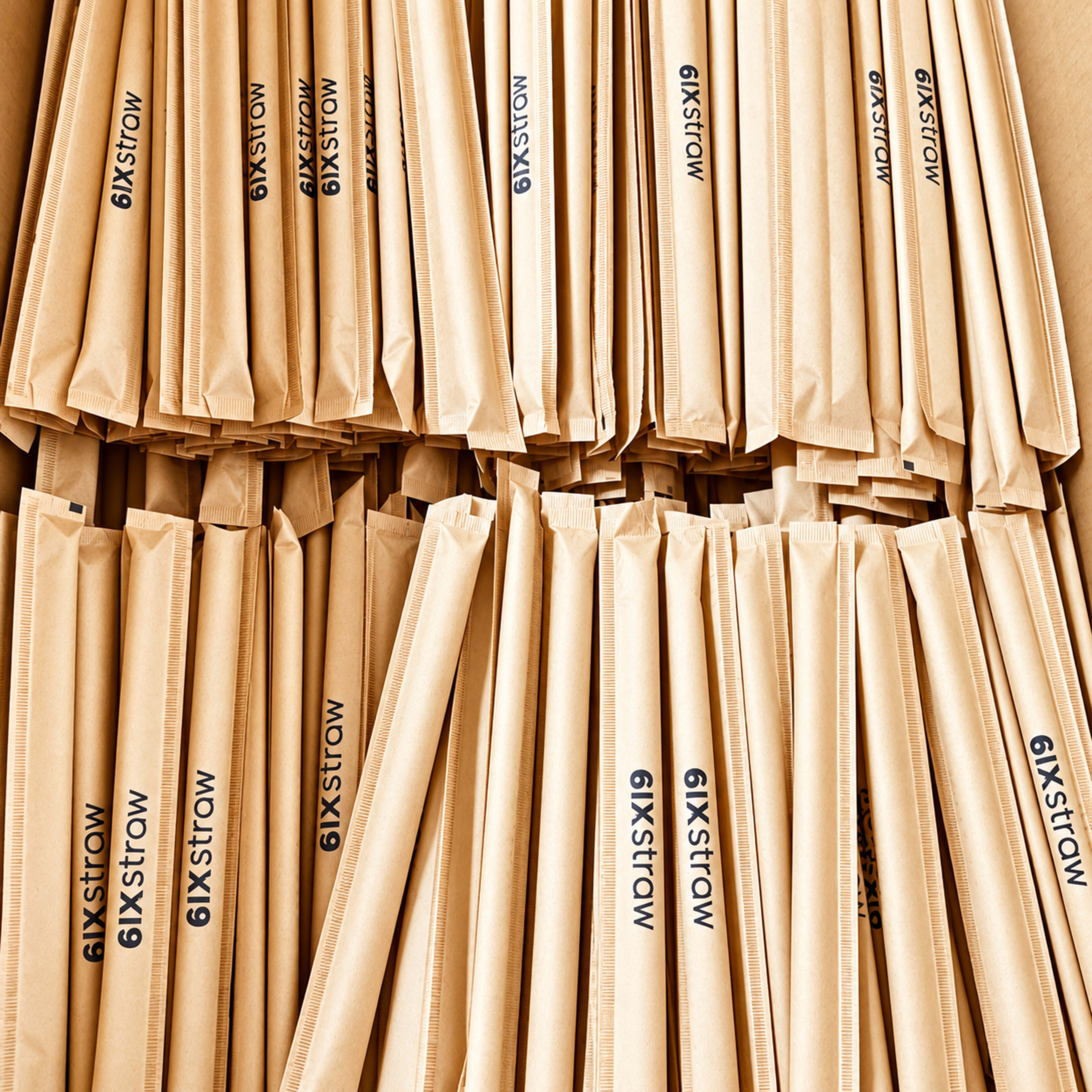 eco2go vietnam bamboo straws (10)