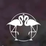 Flamingo House Social Club