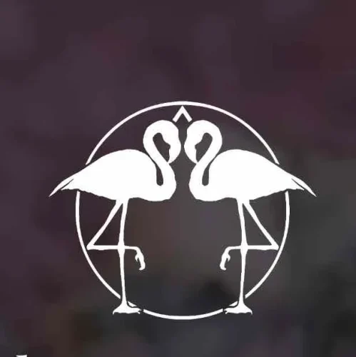 Flamingo House Social Club