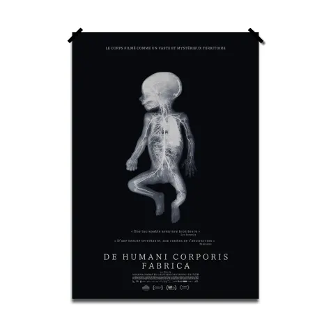 DE HUMANI CORPORIS FABRICA