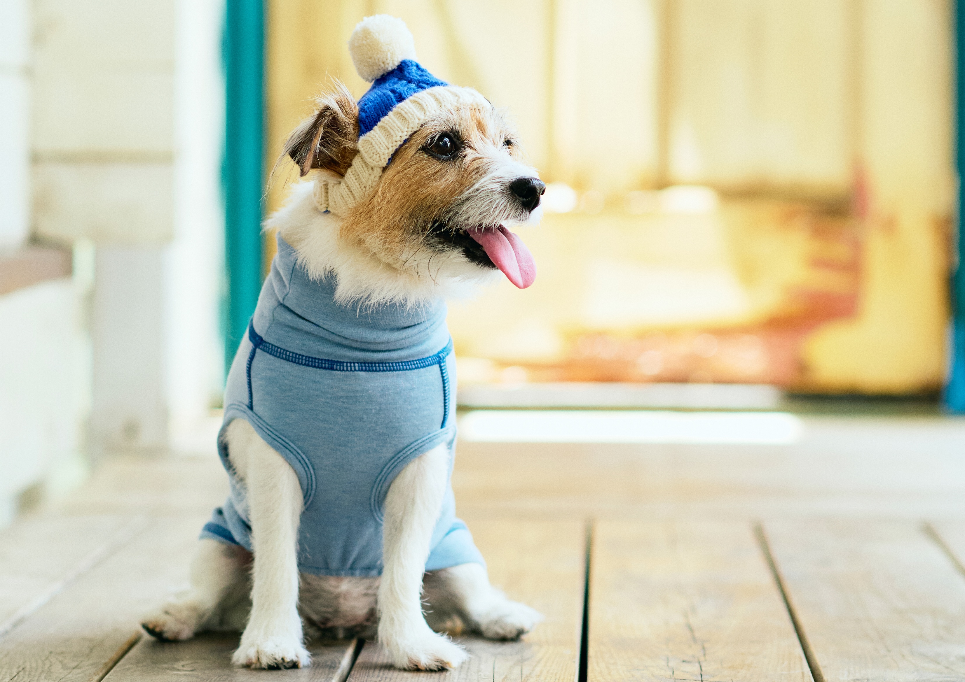 株式会社ライフライクのメインビジュアル