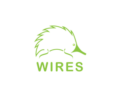 Wires