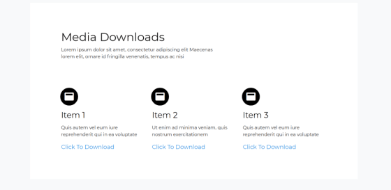 Media Downloads