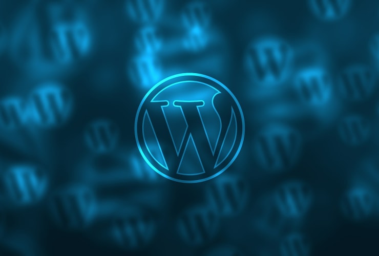 wordpress-vulnerability