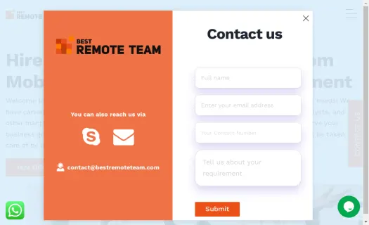 Best Remote Team
