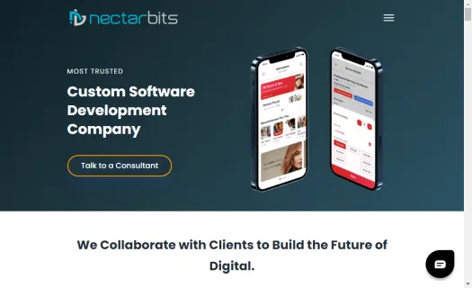 Best Web Design and Development Company in India