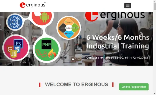 Erginous - Mobile & Web App Expert Company
