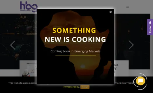 High Beam Global | Market Research Company