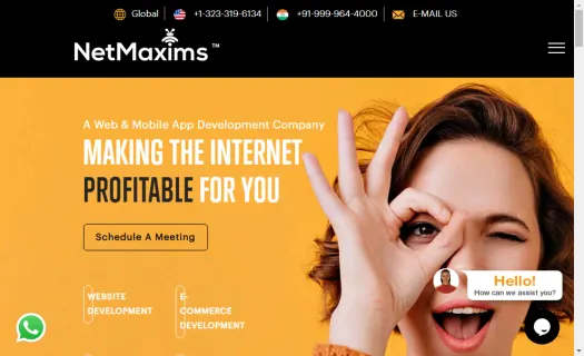 Logo Design Company | NetMaxims 