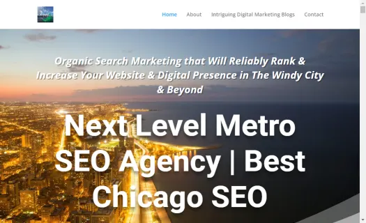 Next Level Metro SEO Agency