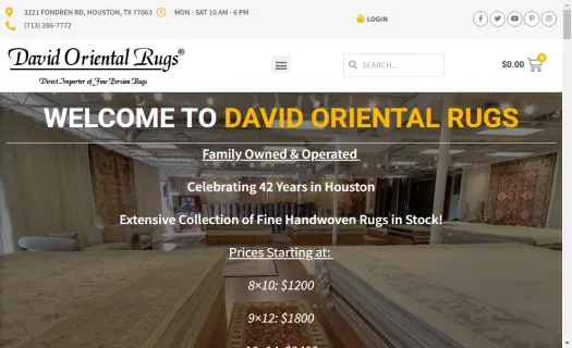 Rug cleaning houston