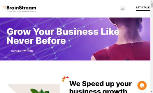 Software Development services