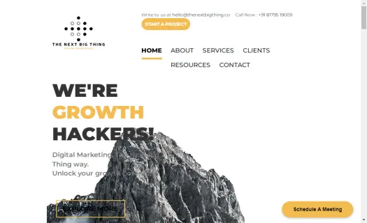 The Next Big Thing Digital Marketing Agency