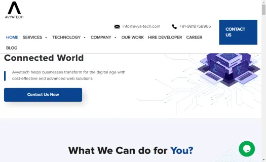 Web Development Company in India