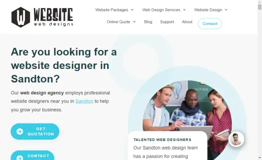 Website Web Designs - Web Design Company