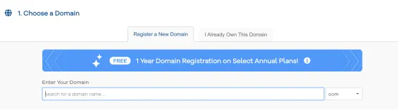 Choose the right domain name
