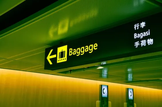 Baggage loss protection