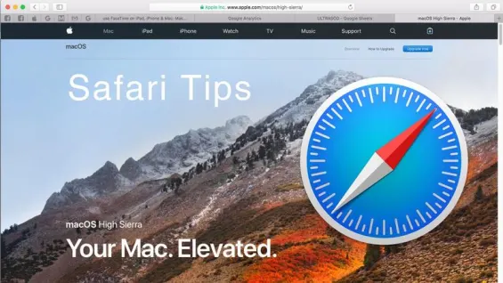 Safari