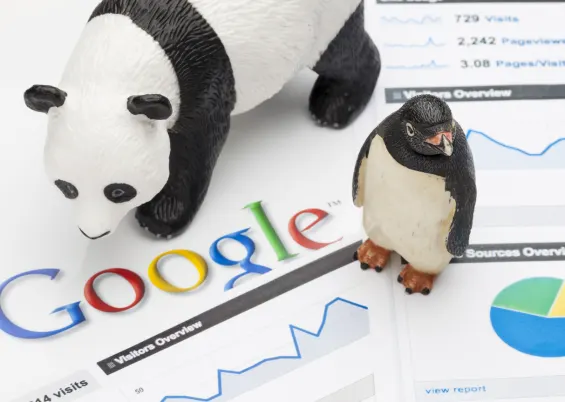 google algorithms, includes a panda, penguin and graphs