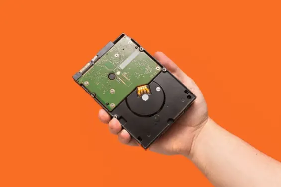 Protecting and Organizing Files