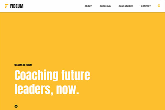 Screenshot of the Fideum website